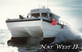 Nat West II.  10m Cat
